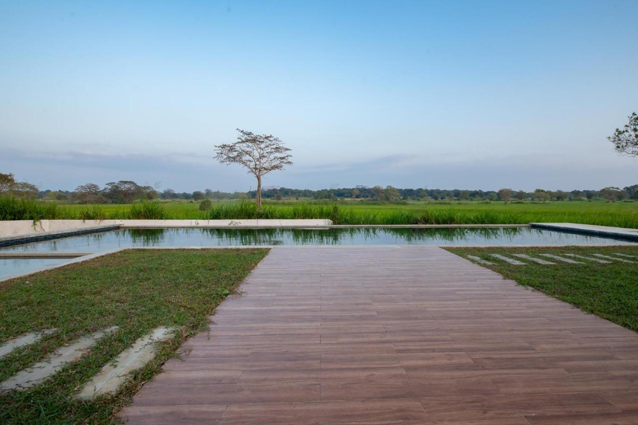 Ceylon Breeze Sigiriya Ξενοδοχείο Εξωτερικό φωτογραφία